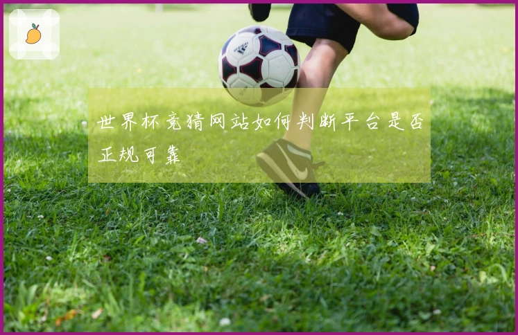 世界杯竞猜网站如何判断平台是否正规可靠