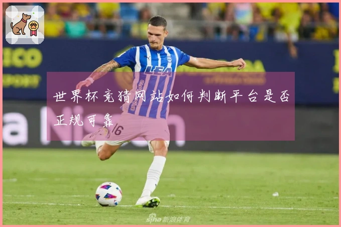 世界杯竞猜网站如何判断平台是否正规可靠